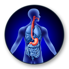 Esophageal Cancer