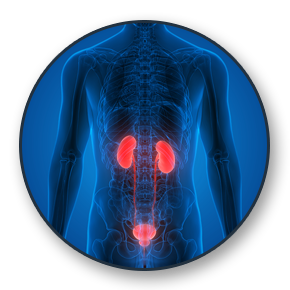 Kidney Cancer
