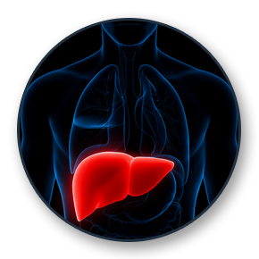 Lung Cancer